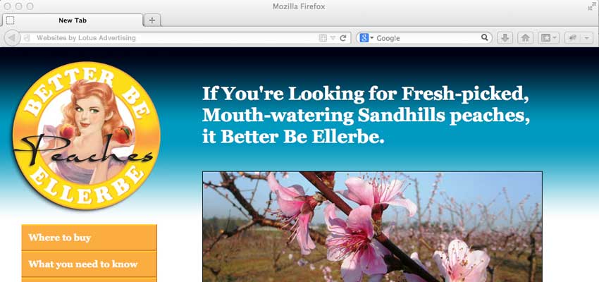 web page design for better be ellerbe peaches